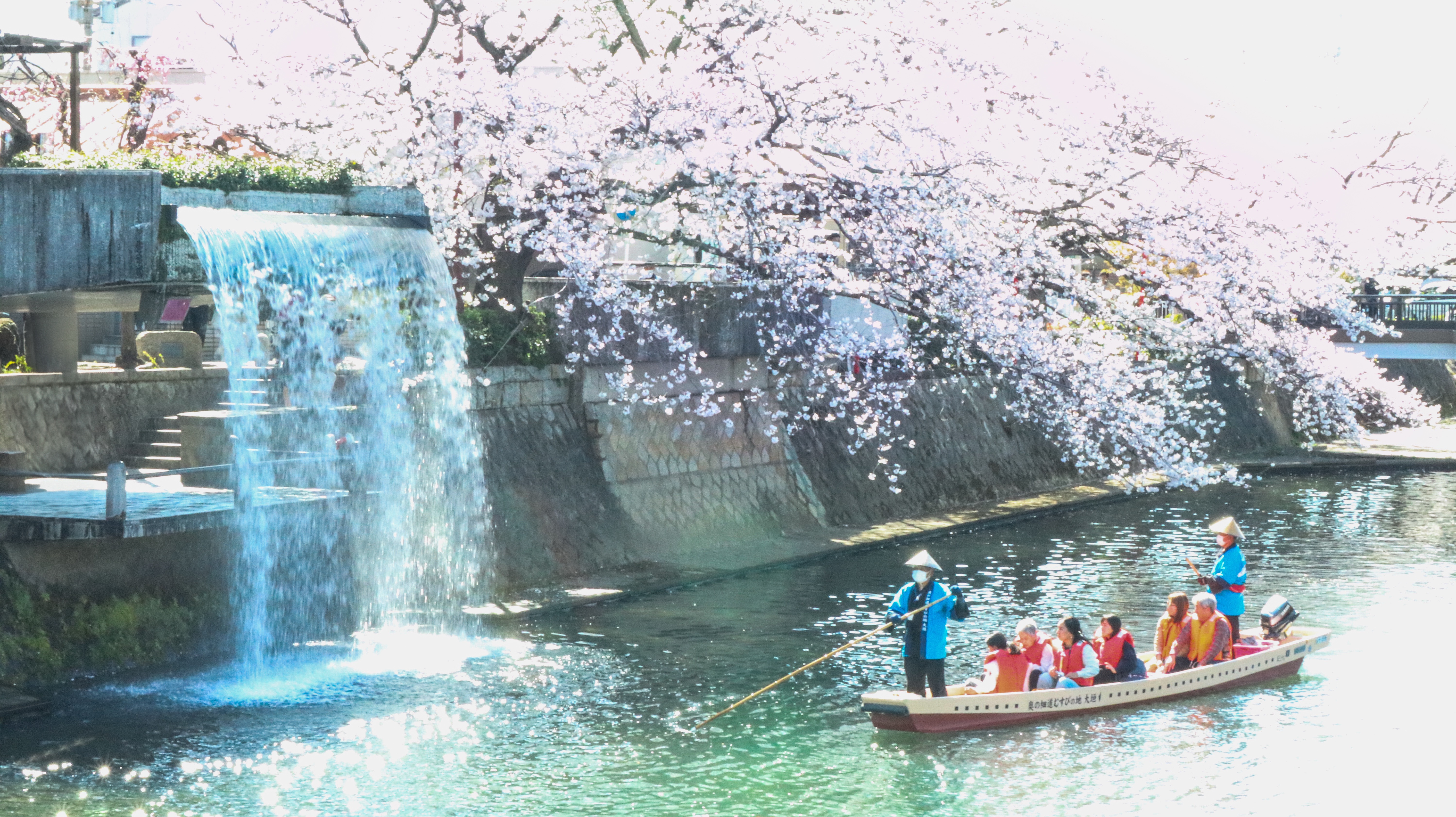 岐阜県大垣市で50年